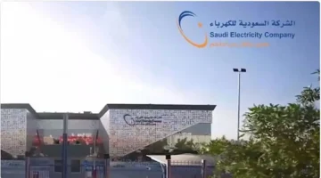 السعودية للكهرباء تدعو لتوثيق العدادات لضمان استمرارية الخدمة وحماية حقوق المستفيدين